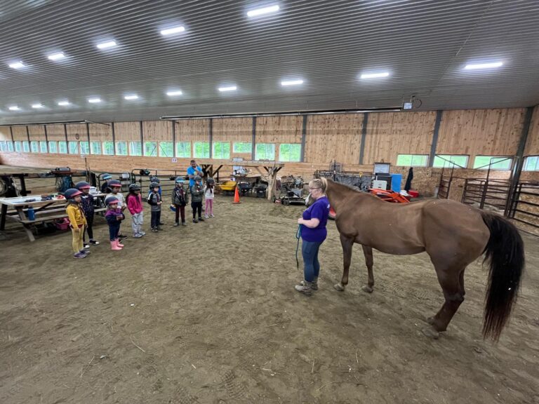 WhatsApp Image 2025-03-27 at 5.12.46 PM (1)